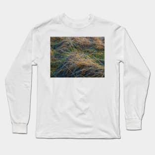 Rainbow grass Long Sleeve T-Shirt
